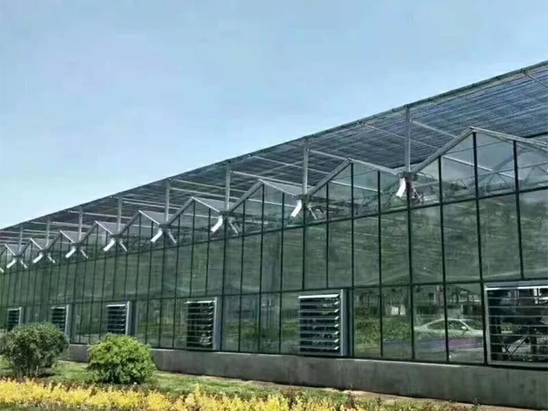 Wat maak Steel Vertical Farm die toekoms van volhoubare landbou?