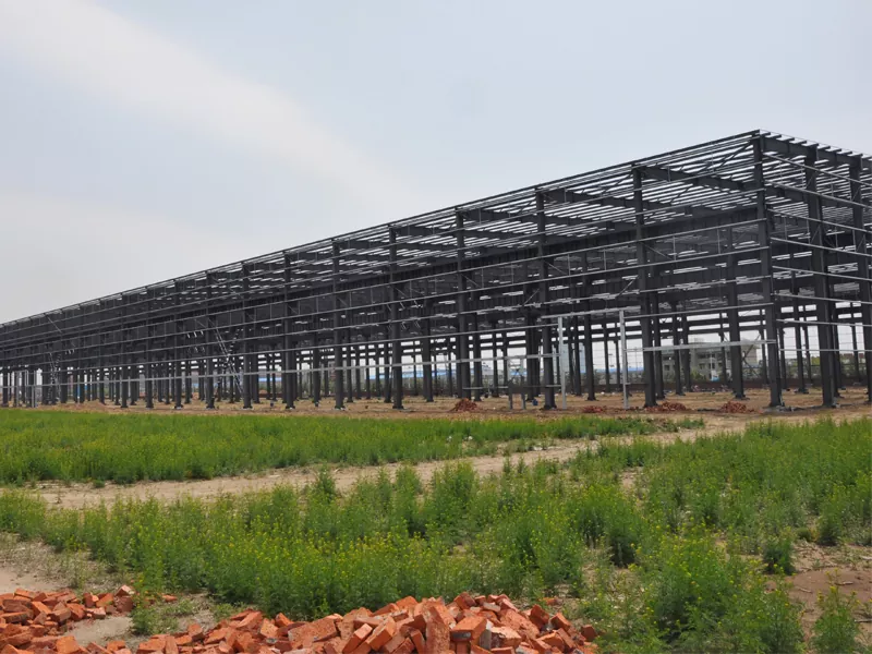 Prefab staalmetaal pakhuisgebou