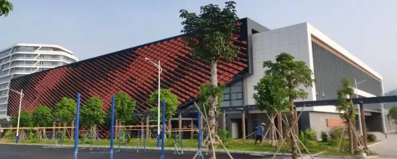 Ruimte Truss Struktuur Gimnasium